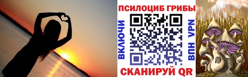 Псилоцибиновые грибы GOLDEN TEACHER  hydra онион  Выборг 